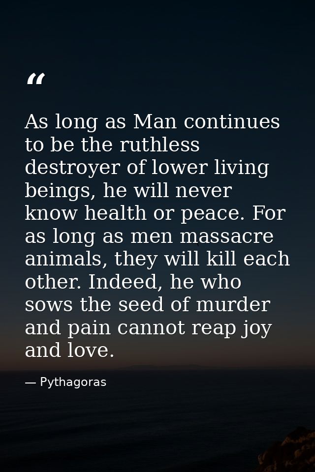 As long as Man continues to be the ruthless destroyer of lower living beings, he will never know health or peace. For as — Pythagoras