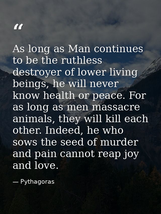 As long as Man continues to be the ruthless destroyer of lower living beings, he will never know health or peace. For as — Pythagoras