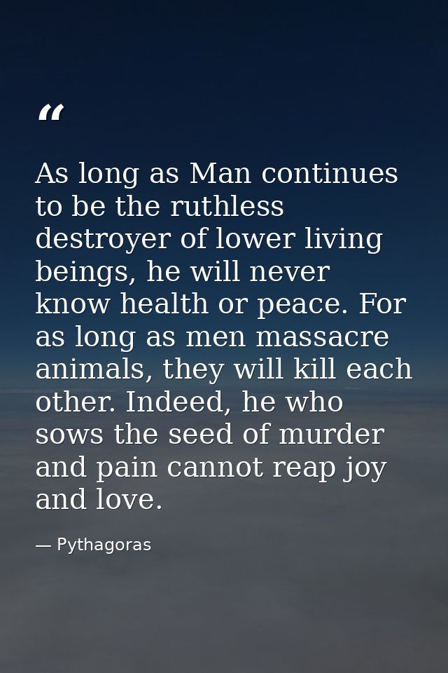 As long as Man continues to be the ruthless destroyer of lower living beings, he will never know health or peace. For as — Pythagoras