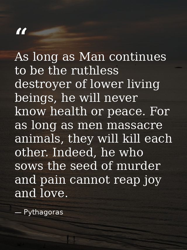As long as Man continues to be the ruthless destroyer of lower living beings, he will never know health or peace. For as — Pythagoras