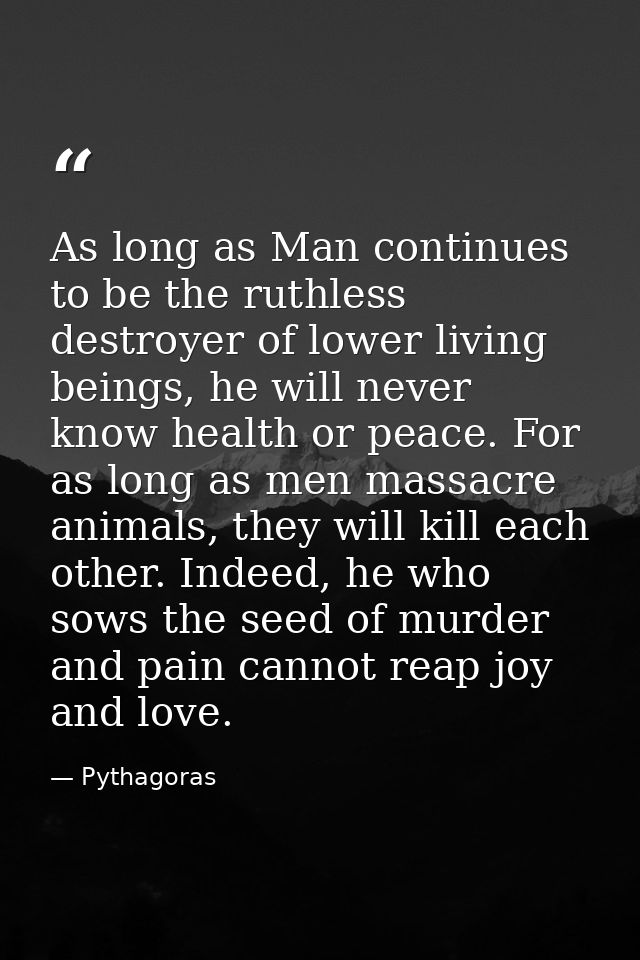 As long as Man continues to be the ruthless destroyer of lower living beings, he will never know health or peace. For as — Pythagoras