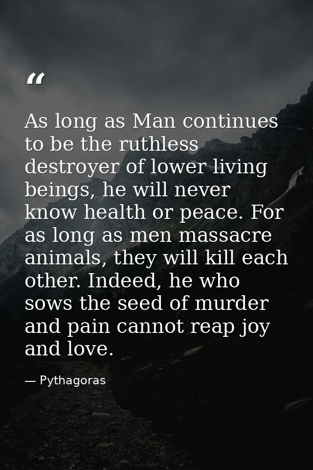 As long as Man continues to be the ruthless destroyer of lower living beings, he will never know health or peace. For as — Pythagoras