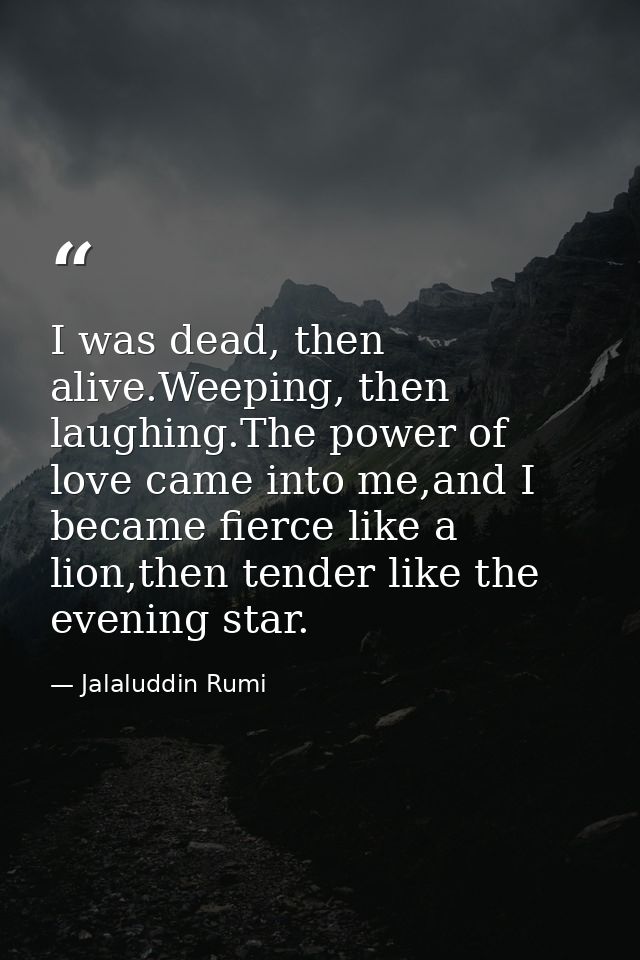 I was dead, then alive.Weeping, then laughing.The power of love came into me,and I became fierce like a lion,then tender — Jalaluddin Rumi