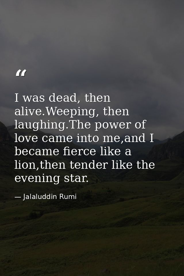 I was dead, then alive.Weeping, then laughing.The power of love came into me,and I became fierce like a lion,then tender — Jalaluddin Rumi