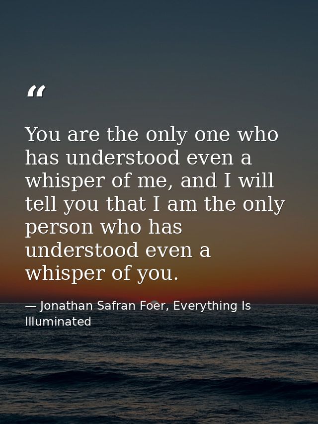 You are the only one who has understood even a whisper of me, and I will tell you that I am the only person who has unde — Jonathan Safran Foer, Everything Is Illuminated