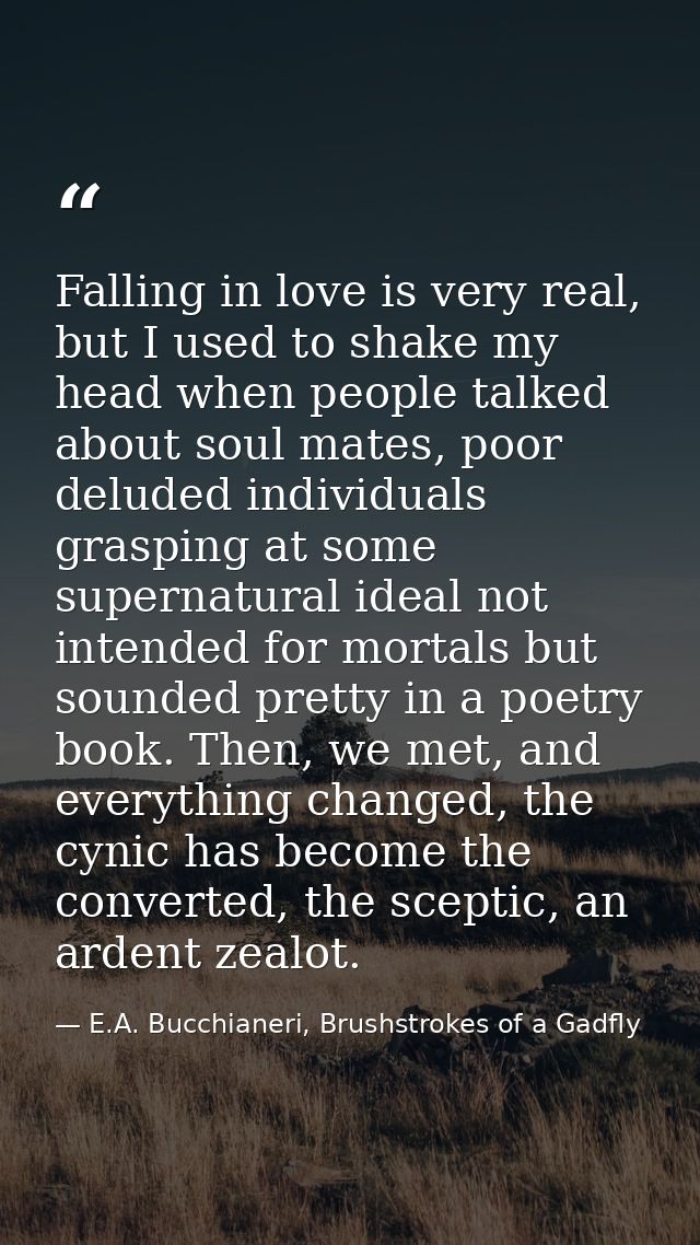 Falling in love is very real, but I used to shake my head when people talked about soul mates, poor deluded individuals  — E.A. Bucchianeri, Brushstrokes of a Gadfly