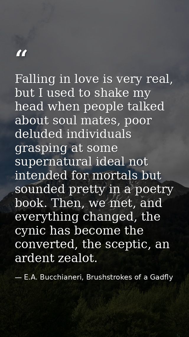 Falling in love is very real, but I used to shake my head when people talked about soul mates, poor deluded individuals  — E.A. Bucchianeri, Brushstrokes of a Gadfly