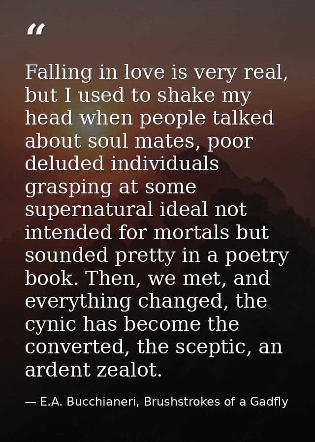 Falling in love is very real, but I used to shake my head when people talked about soul mates, poor deluded individuals  — E.A. Bucchianeri, Brushstrokes of a Gadfly