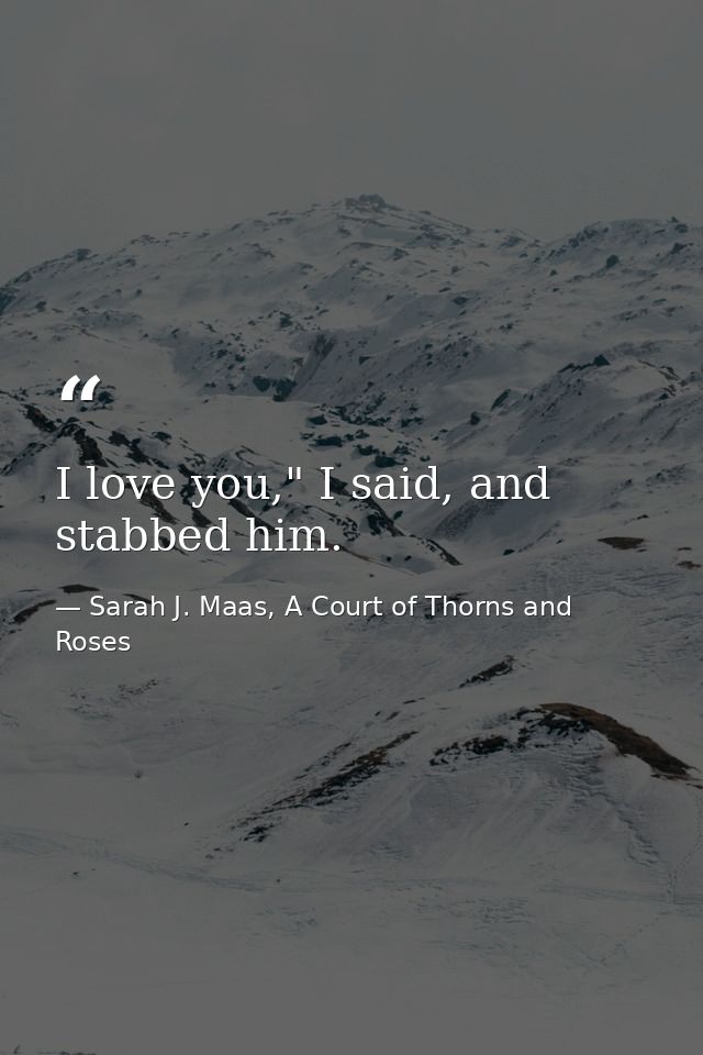 I love you," I said, and stabbed him. — Sarah J. Maas, A Court of Thorns and Roses