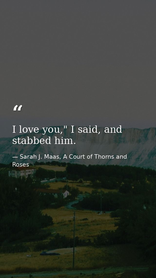 I love you," I said, and stabbed him. — Sarah J. Maas, A Court of Thorns and Roses