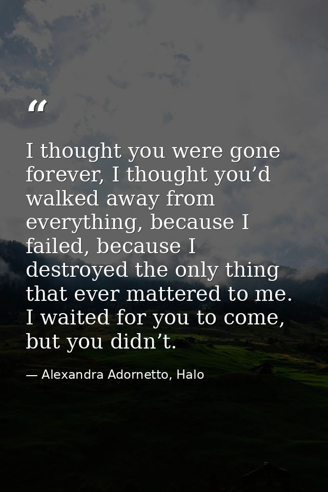 I thought you were gone forever, I thought you’d walked away from everything, because I failed, because I destroyed the  — Alexandra Adornetto, Halo