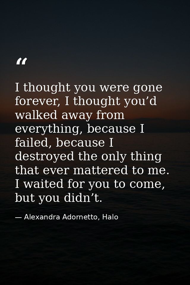 I thought you were gone forever, I thought you’d walked away from everything, because I failed, because I destroyed the  — Alexandra Adornetto, Halo