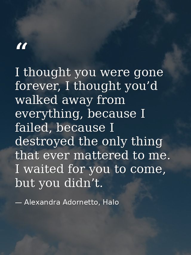 I thought you were gone forever, I thought you’d walked away from everything, because I failed, because I destroyed the  — Alexandra Adornetto, Halo
