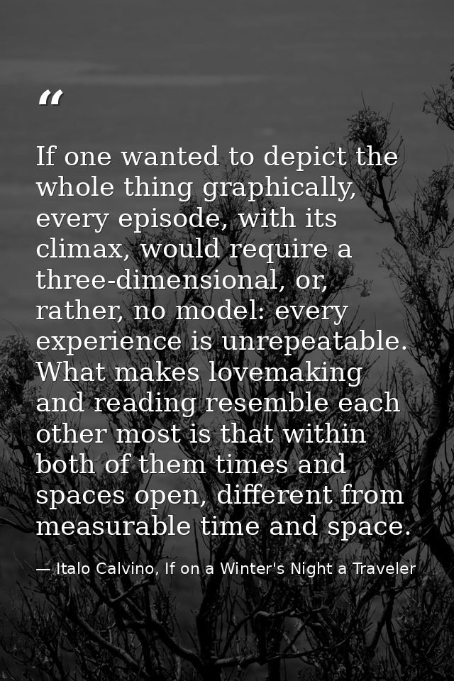 If one wanted to depict the whole thing graphically, every episode, with its climax, would require a three-dimensional,  — Italo Calvino, If on a Winter's Night a Traveler
