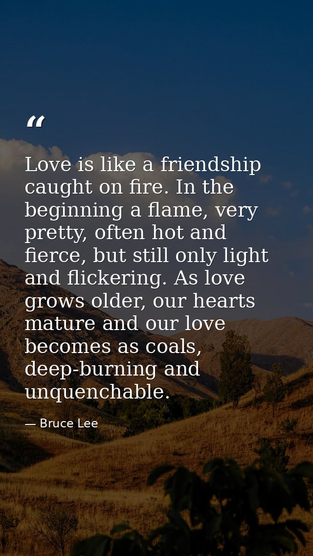 Love is like a friendship caught on fire. In the beginning a flame, very pretty, often hot and fierce, but still only li — Bruce Lee