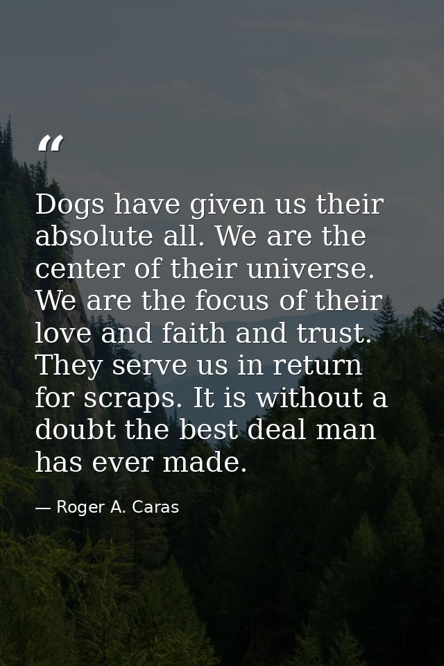 Dogs have given us their absolute all. We are the center of their universe. We are the focus of their love and faith and — Roger A. Caras