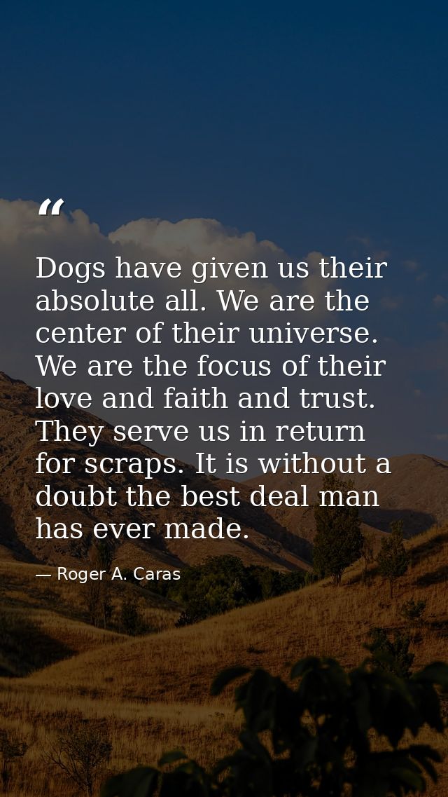 Dogs have given us their absolute all. We are the center of their universe. We are the focus of their love and faith and — Roger A. Caras