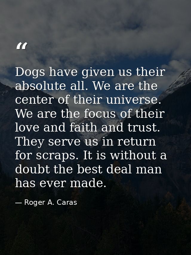 Dogs have given us their absolute all. We are the center of their universe. We are the focus of their love and faith and — Roger A. Caras