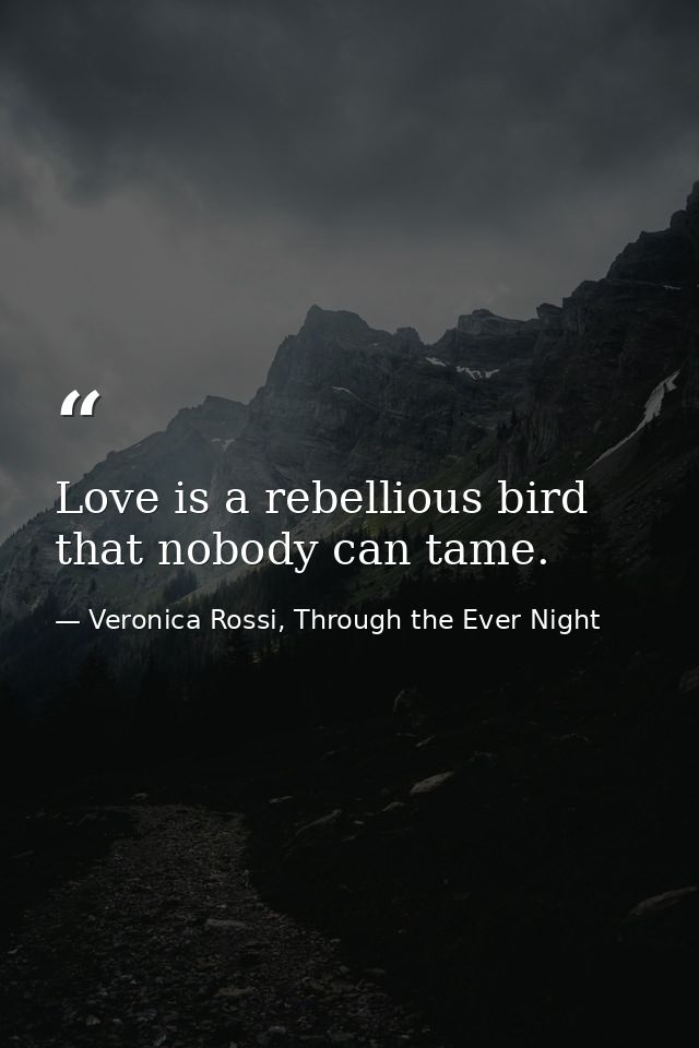 Love is a rebellious bird that nobody can tame. — Veronica Rossi, Through the Ever Night