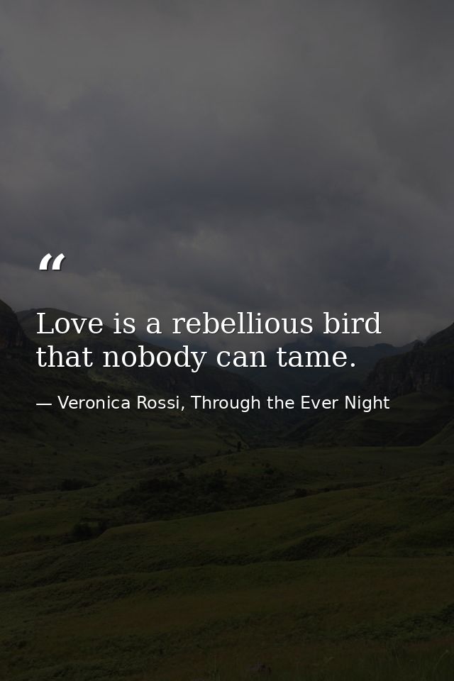 Love is a rebellious bird that nobody can tame. — Veronica Rossi, Through the Ever Night