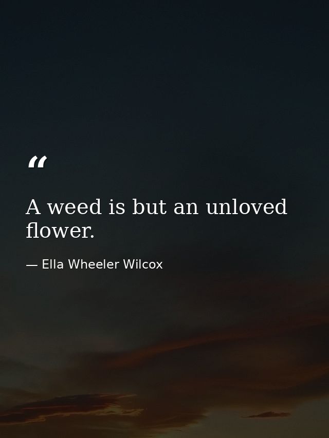 A weed is but an unloved flower. — Ella Wheeler Wilcox