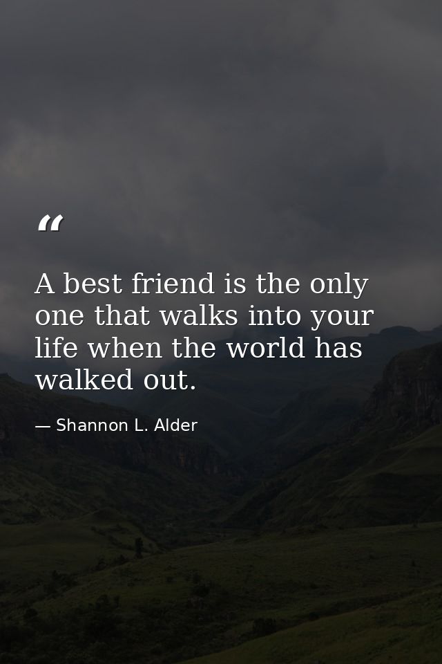 A best friend is the only one that walks into your life when the world has walked out. — Shannon L. Alder