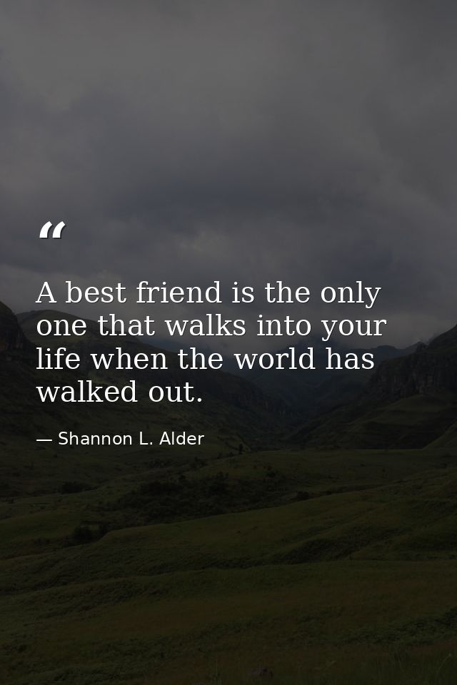 A best friend is the only one that walks into your life when the world has walked out. — Shannon L. Alder