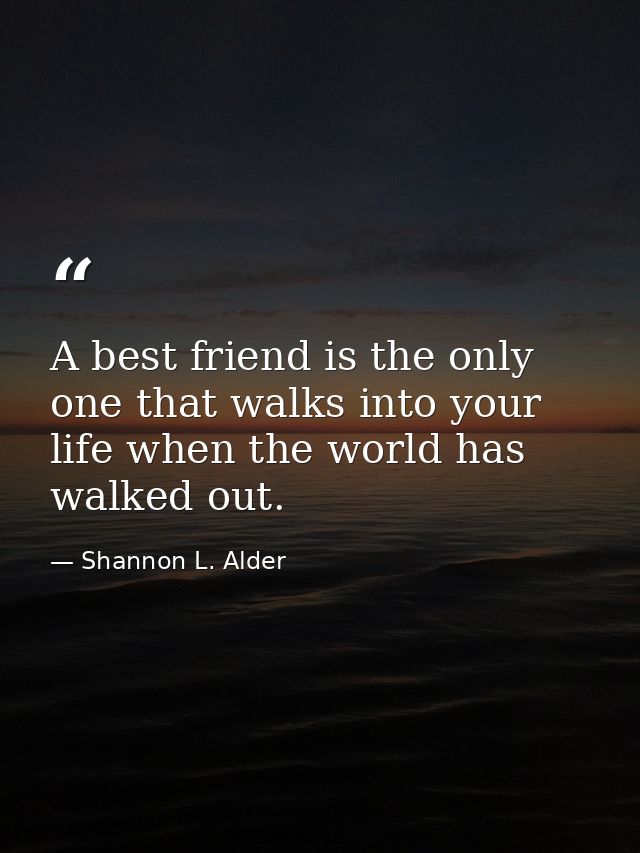 A best friend is the only one that walks into your life when the world has walked out. — Shannon L. Alder