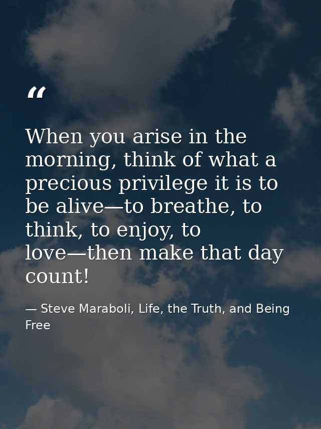 When you arise in the morning, think of what a precious privilege it is to be alive—to breathe, to think, to enjoy, to l — Steve Maraboli, Life, the Truth, and Being Free