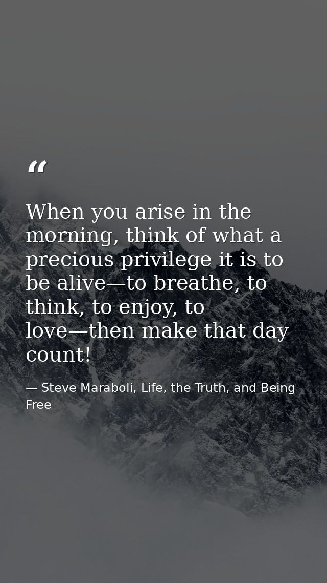 When you arise in the morning, think of what a precious privilege it is to be alive—to breathe, to think, to enjoy, to l — Steve Maraboli, Life, the Truth, and Being Free