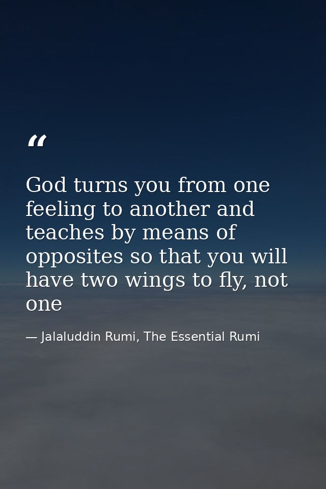 God turns you from one feeling to another and teaches by means of opposites so that you will have two wings to fly, not  — Jalaluddin Rumi, The Essential Rumi