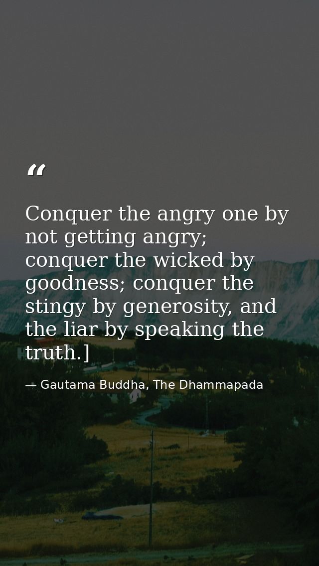 Conquer the angry one by not getting angry; conquer the wicked by goodness; conquer the stingy by generosity, and the li — Gautama Buddha, The Dhammapada