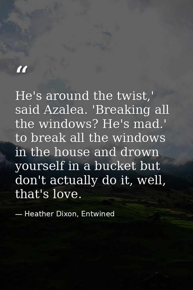 He's around the twist,' said Azalea. 'Breaking all the windows? He's mad.' to break all the windows in the house and dro — Heather Dixon, Entwined