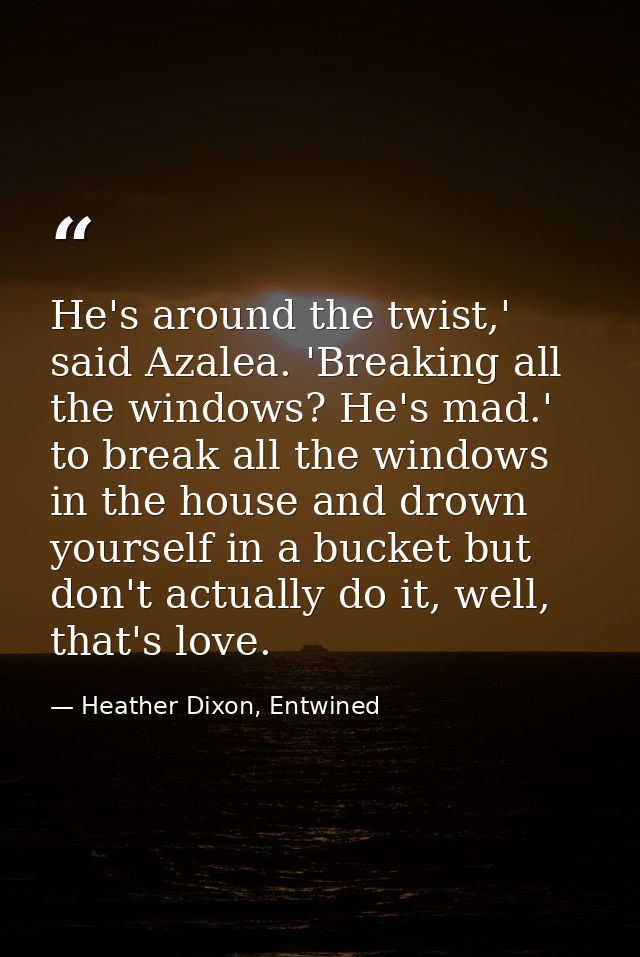 He's around the twist,' said Azalea. 'Breaking all the windows? He's mad.' to break all the windows in the house and dro — Heather Dixon, Entwined