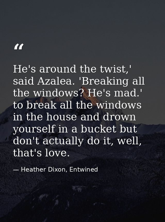 He's around the twist,' said Azalea. 'Breaking all the windows? He's mad.' to break all the windows in the house and dro — Heather Dixon, Entwined