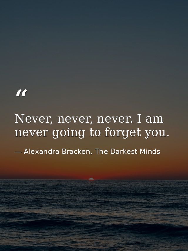 Never, never, never. I am never going to forget you. — Alexandra Bracken, The Darkest Minds