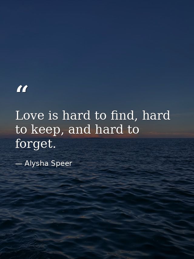 Love is hard to find, hard to keep, and hard to forget. — Alysha Speer