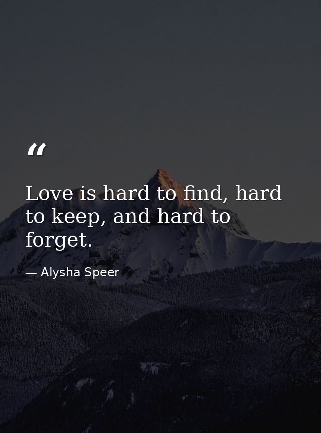 Love is hard to find, hard to keep, and hard to forget. — Alysha Speer