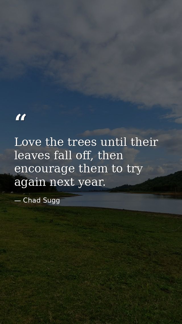 Love the trees until their leaves fall off, then encourage them to try again next year. — Chad Sugg