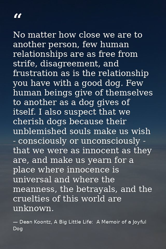 No matter how close we are to another person, few human relationships are as free from strife, disagreement, and frustra — Dean Koontz, A Big Little Life:  A Memoir of a Joyful Dog