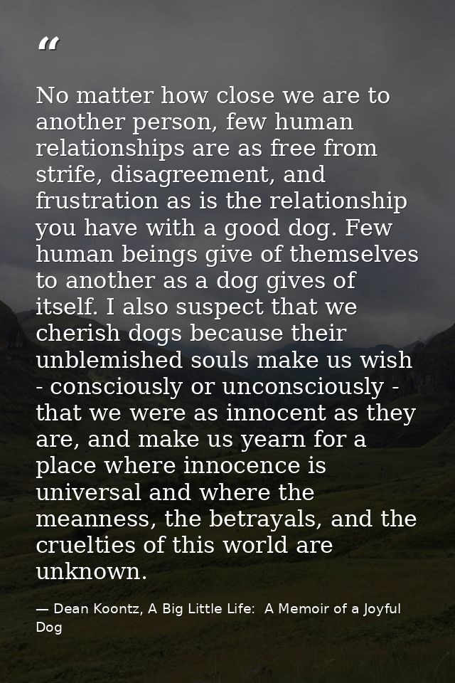 No matter how close we are to another person, few human relationships are as free from strife, disagreement, and frustra — Dean Koontz, A Big Little Life:  A Memoir of a Joyful Dog