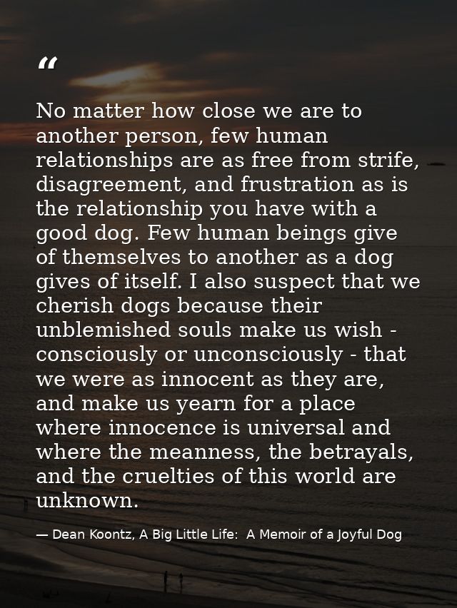 No matter how close we are to another person, few human relationships are as free from strife, disagreement, and frustra — Dean Koontz, A Big Little Life:  A Memoir of a Joyful Dog