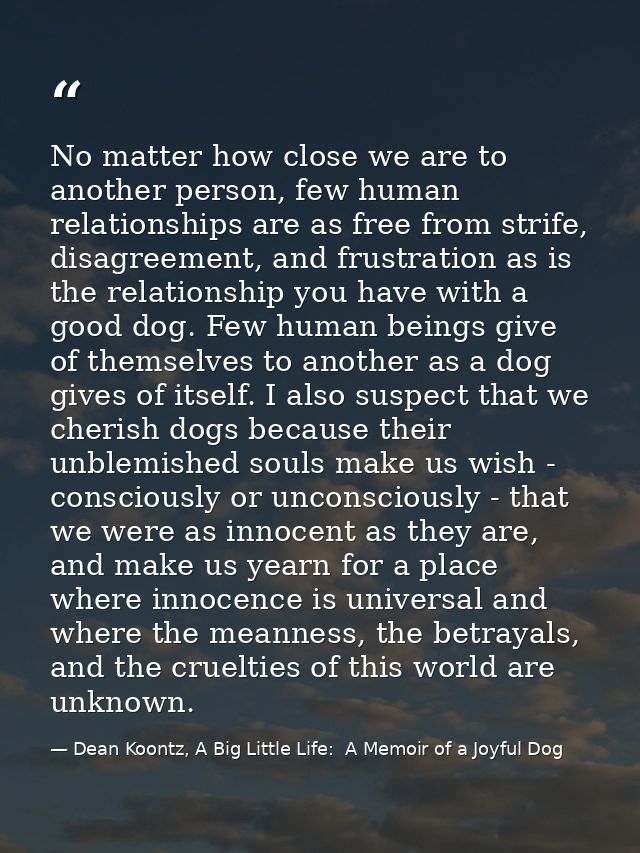No matter how close we are to another person, few human relationships are as free from strife, disagreement, and frustra — Dean Koontz, A Big Little Life:  A Memoir of a Joyful Dog
