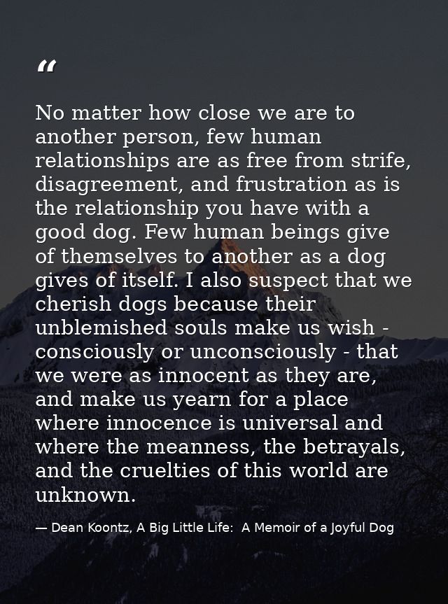 No matter how close we are to another person, few human relationships are as free from strife, disagreement, and frustra — Dean Koontz, A Big Little Life:  A Memoir of a Joyful Dog