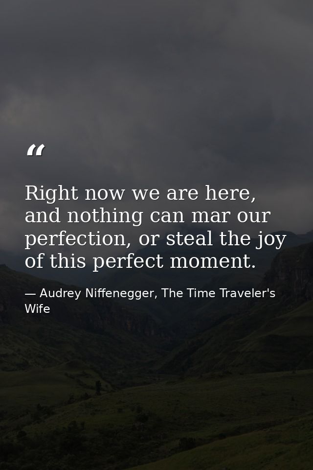 Right now we are here, and nothing can mar our perfection, or steal the joy of this perfect moment. — Audrey Niffenegger, The Time Traveler's Wife
