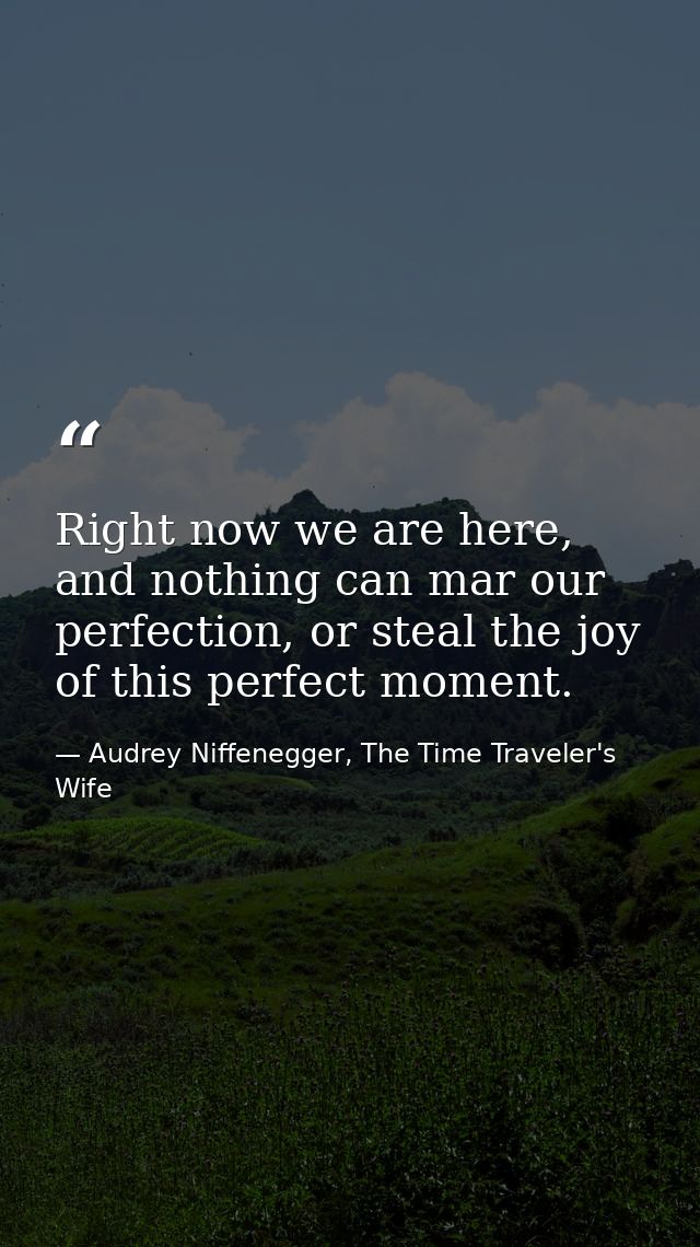 Right now we are here, and nothing can mar our perfection, or steal the joy of this perfect moment. — Audrey Niffenegger, The Time Traveler's Wife