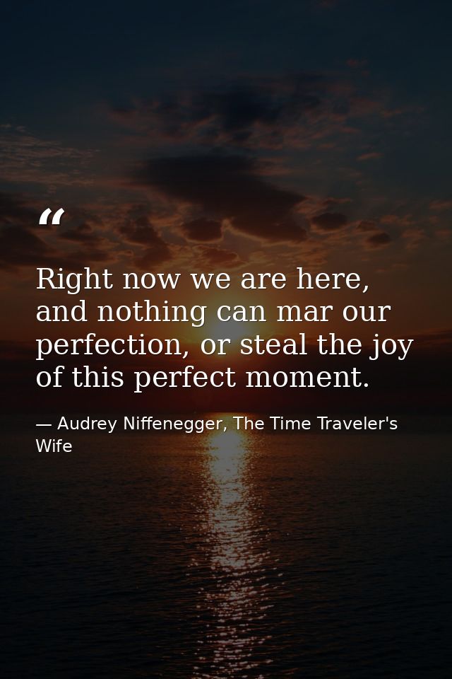 Right now we are here, and nothing can mar our perfection, or steal the joy of this perfect moment. — Audrey Niffenegger, The Time Traveler's Wife