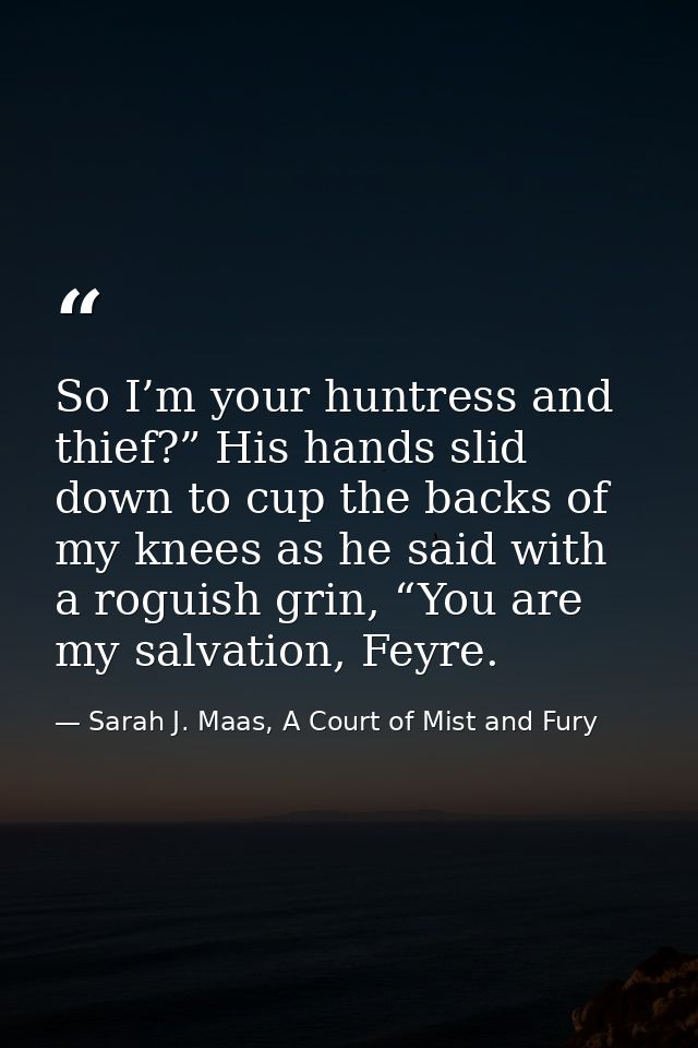 So I’m your huntress and thief?” His hands slid down to cup the backs of my knees as he said with a roguish grin, “You a — Sarah J. Maas, A Court of Mist and Fury