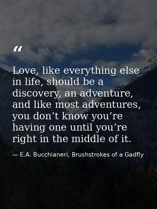 Love, like everything else in life, should be a discovery, an adventure, and like most adventures, you don’t know you’re — E.A. Bucchianeri, Brushstrokes of a Gadfly