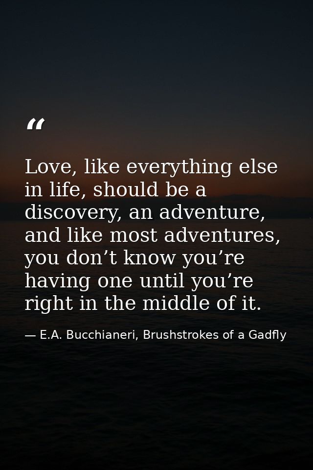Love, like everything else in life, should be a discovery, an adventure, and like most adventures, you don’t know you’re — E.A. Bucchianeri, Brushstrokes of a Gadfly